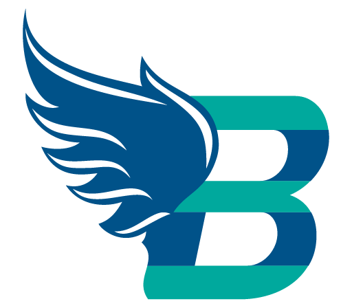Bird's Eye Bookkeeping Logo
